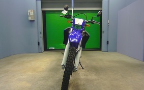 YAMAHA WR250R 2007 DG15J