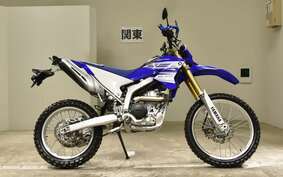 YAMAHA WR250R DG15J