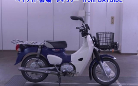 OTHER C110-3