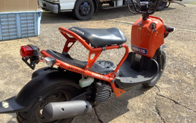 HONDA ZUMAR AF58