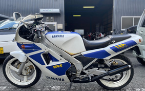 YAMAHA TZR250 1KT