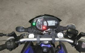 YAMAHA MT-25 RG43J