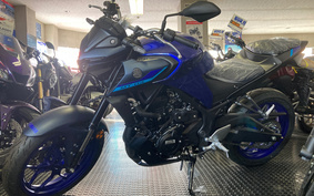 YAMAHA MT-03 1988 RH21J