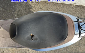 HONDA DIO CHESTER