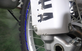YAMAHA WR250R DG15J