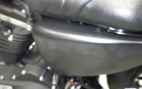 HARLEY XL883N 2020