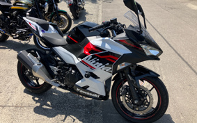 KAWASAKI NINJA 250 EX250P