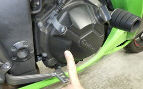 KAWASAKI NINJA 250 EX250L