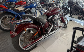 HARLEY  HARLEY FXCWC 2009 JK5