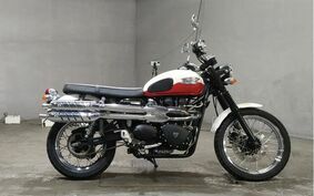 TRIUMPH SCRAMBLER 900 2009 TJ917