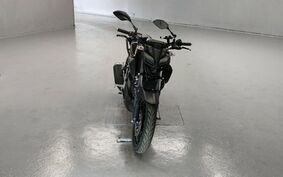 YAMAHA MT-15 2019 不明