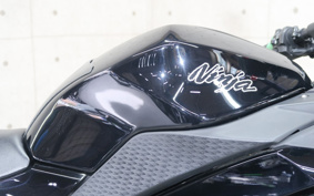 KAWASAKI NINJA 250 EX250L