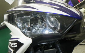 YAMAHA YZF-R25 RG43J