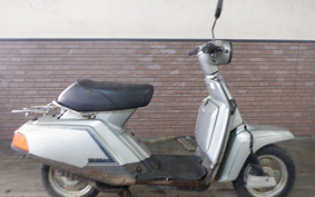 YAMAHA BELUGA 50 5G6