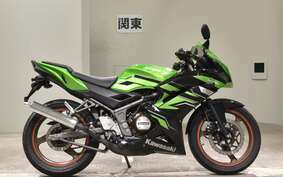 KAWASAKI NINJA150RR KR150P