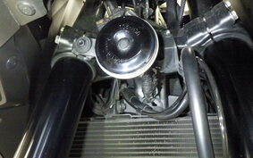 HONDA NT1100 2022 SC84