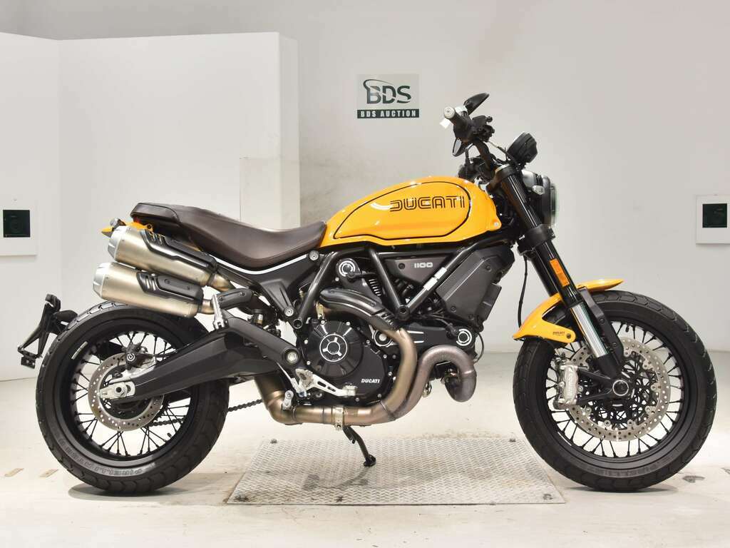 Ducati Scrambler 1100