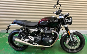 TRIUMPH  TRIUMPH  SPEED  TWIN  2024 DAD85H