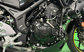 YAMAHA MT-25 ABS RG43J