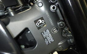 YAMAHA MT-09 2021 RN69J