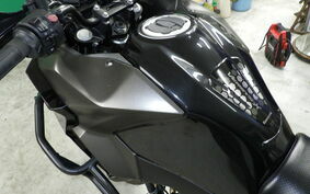 KAWASAKI VERSYS X250 A LE250D