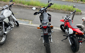 HONDA CRF250L MD44