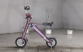 OTHER  BLAZE  SMART EV ..