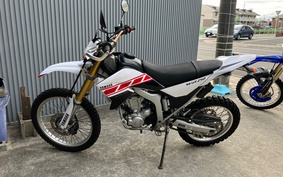 YAMAHA WR250R DG15J