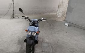 HONDA ZUMAR AF58