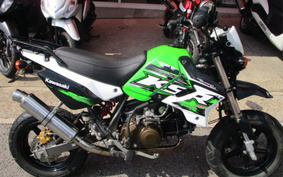 KAWASAKI KSR110 PRO KL110E