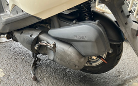 YAMAHA AKUSHI STREET SE53J