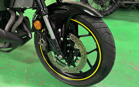 YAMAHA MT-25 ABS RG43J