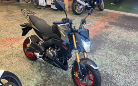 KAWASAKI Z125 PRO BR125H
