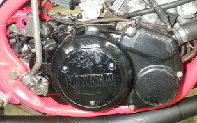 YAMAHA RZ250RR 29L