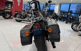 HARLEY HARLEY FXDB1580 2010 GX4