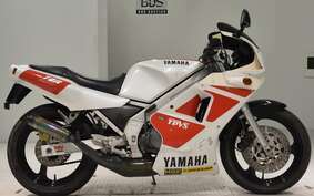 YAMAHA TZR250 1KT