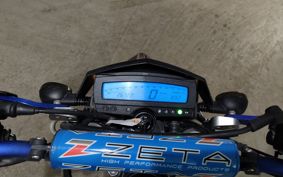 KAWASAKI D-TRACKERX LX250V
