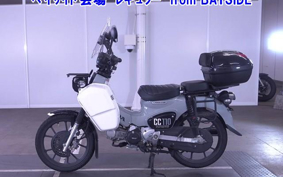 OTHER CC110-3