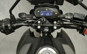 YAMAHA FZS25 不明