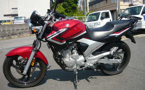 YAMAHA YBR250 PCNL