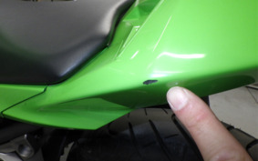 KAWASAKI NINJA 250 EX250L