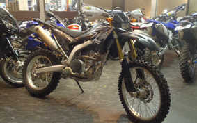 YAMAHA WR250R 2010 DG15J