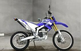 YAMAHA WR250R DG15J