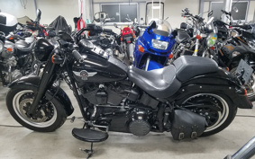 HARLEY  HARLEY FLSTFBS 2017 JT9
