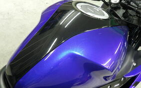 YAMAHA YZF-R25 RG43J