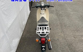 OTHER C110-3