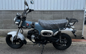 HONDA  DUX 125 JB04