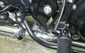 KAWASAKI W800 2020 EJ800B