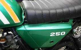 SUZUKI TS250 TS2504