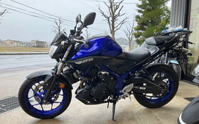 YAMAHA MT-25 RG43J